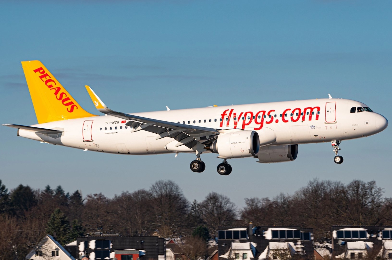 Pegasus vlucht outlet